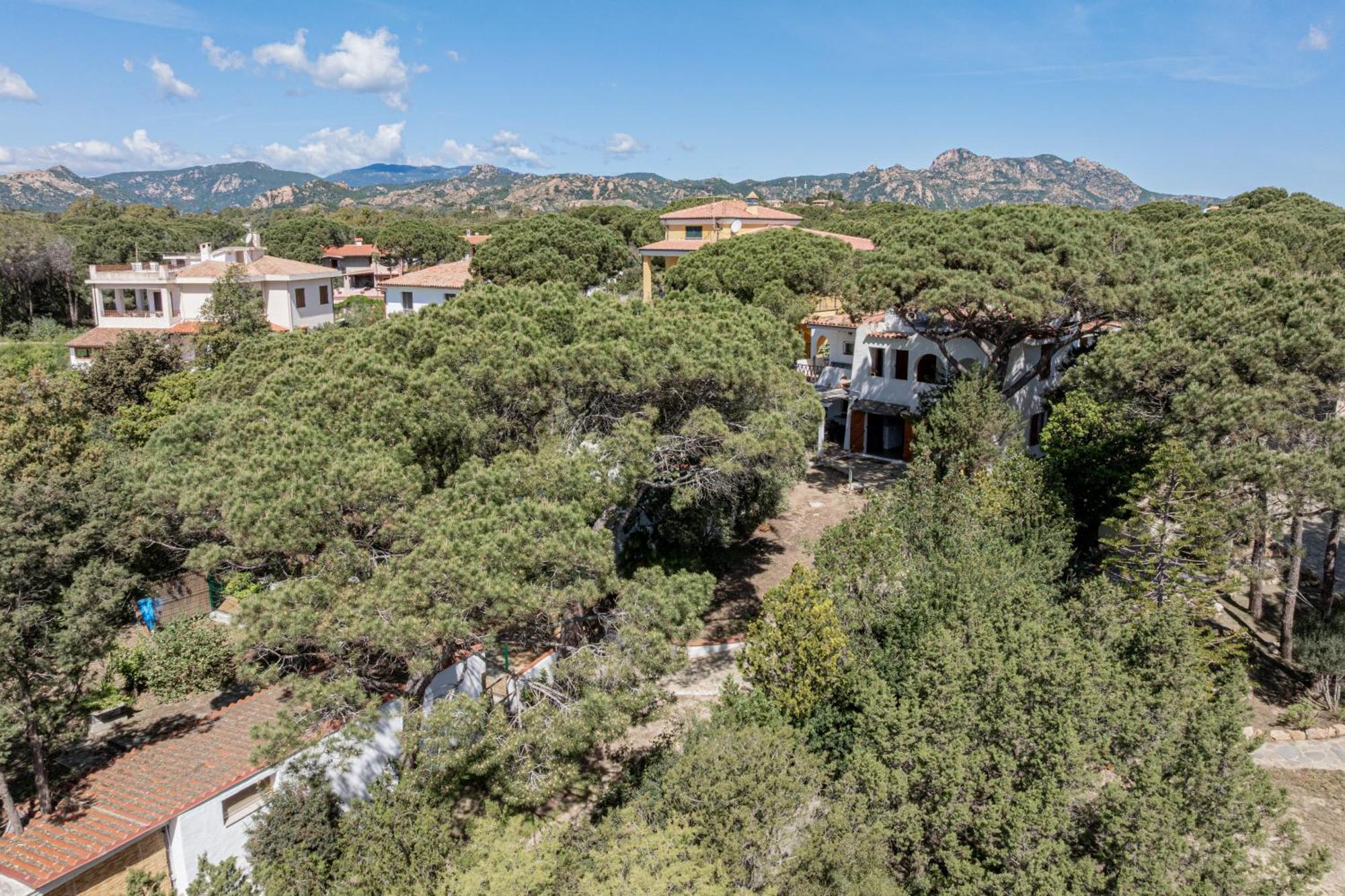 Casa Donatella, In Riva Al Mare! Villa Cala Liberotto Eksteriør billede