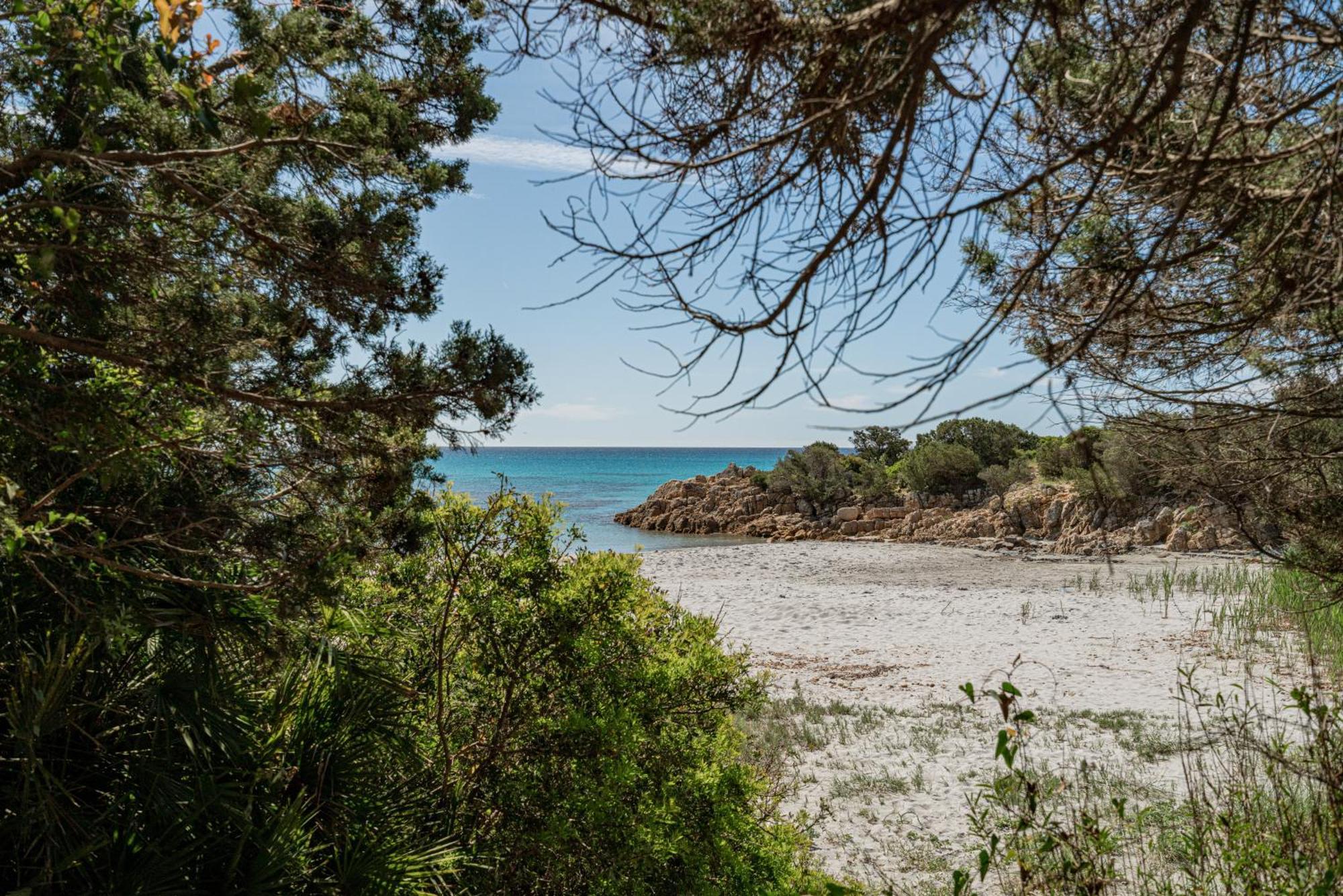 Casa Donatella, In Riva Al Mare! Villa Cala Liberotto Eksteriør billede